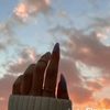 medogaming312