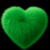 md.tanvir9780