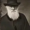 cxa__yu6
