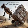 questionar2981