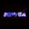 petryha_339_rsnt