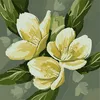 mohammad.alkhalaf98