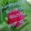 hussen.abebe.arga