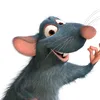 ratatujoz