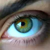 najy66945i6