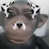 eel_sam