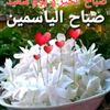 user5077834982669