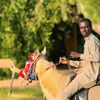 sultan_angou02