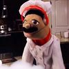 chefpx1