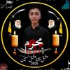 amirhassan8925
