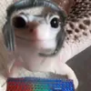 klanguinho02