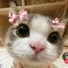 luvv.cutie08