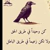 habibaabdi67