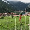 حياة الشمال التركي 🇹🇷🇸🇦