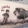 sayedullah.afg3