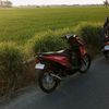feb_ry233