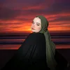 zh_8rp