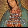 pilar.sach