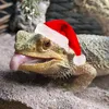 beardeddragon_svenerik