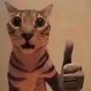catmangotcha