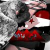 sf___ah96