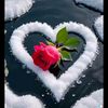 user2851142471244
