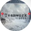 teamdailywork