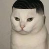 jimmy.otoom