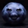 blueberry___67