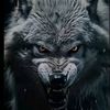 nahid.mmmdov4