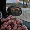 safa.alghzily