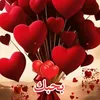 user501628505677