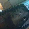hdkcckffxrkrufr