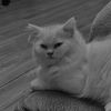 emmanuel_20070