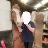 rubyhorseaccx