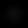 bryan_ort10