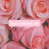 rose_atdawn