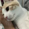 5ykei