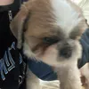 zexybeta