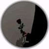 user511180260516