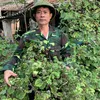 Dương TD@0398.031.126.