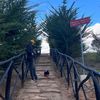 elias.manuel.abar