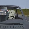 lukitas_1237