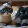 furandorder
