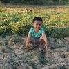 zonpwintphyu976