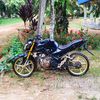 sandy.rizal3