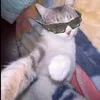 juzzthine