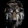 dj_lone_timber_wolf