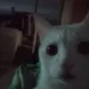 womanfuck