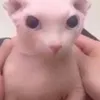 ithnki83kdz